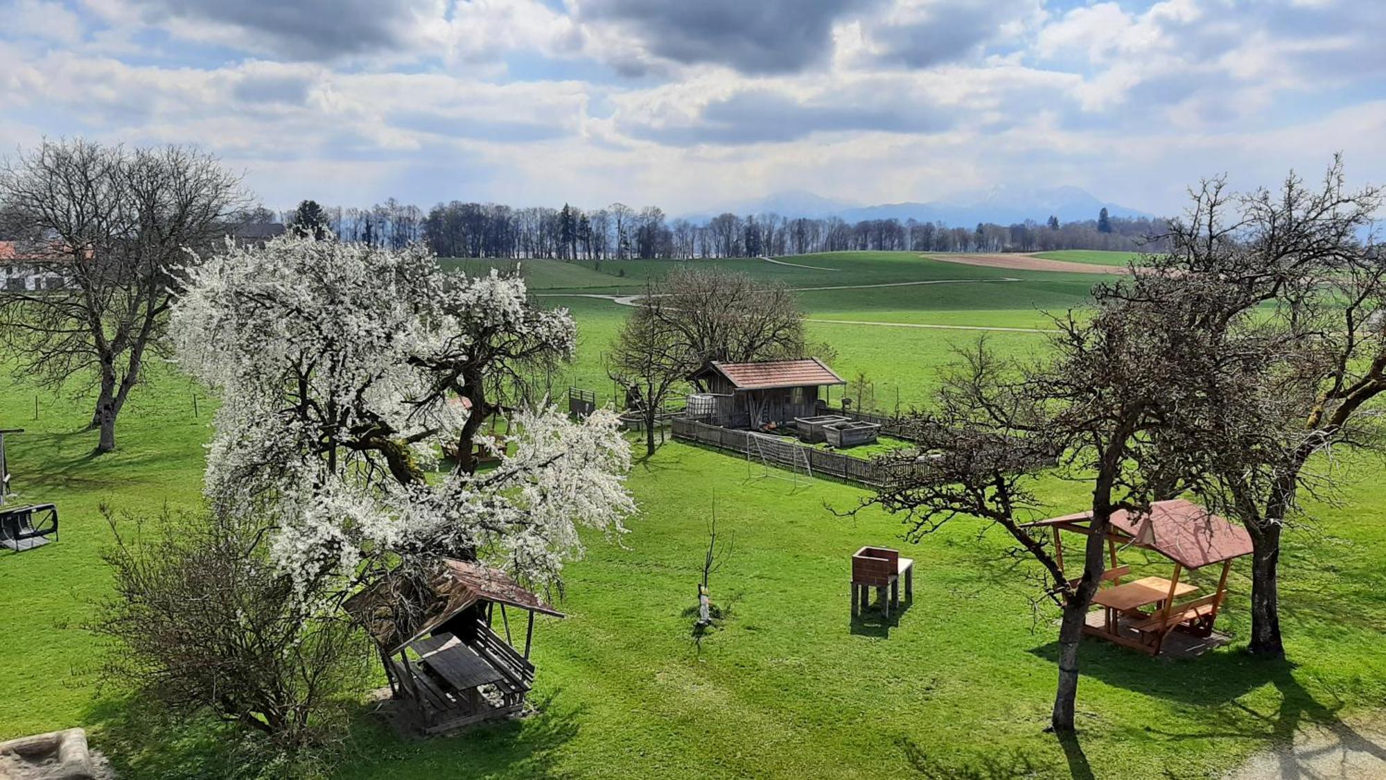 Ferienwohnungen Loisenhof เกอชตัดท์ อัม คิมซี ภายนอก รูปภาพ